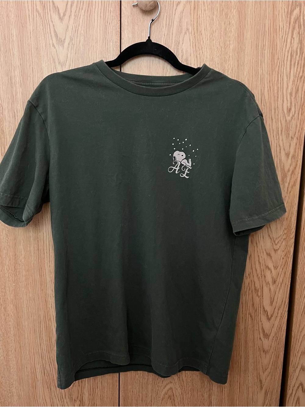 American Eagle Olive Green Crewneck Tee with Subtle Chest Detail